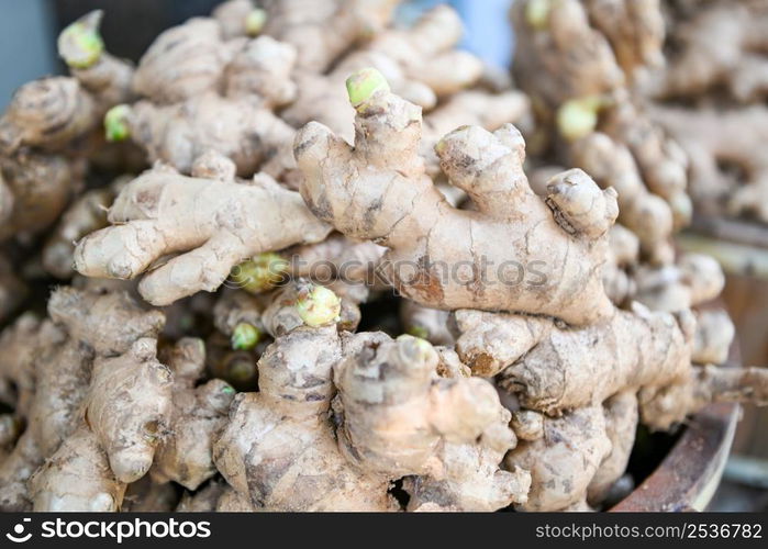 Fresh organic ginger on fresh market in thailand, fresh ginger plant farm harvest ginger root on field agricultural for sold in the market