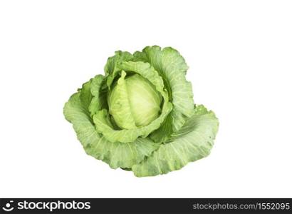 Fresh organic green cabbage on isolated white background