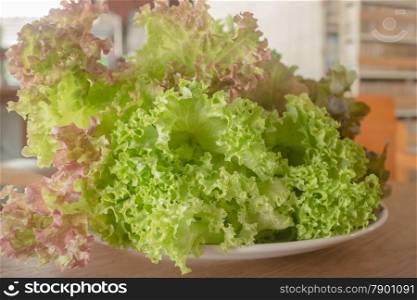 Fresh organic mix salad vegetable, stock photo