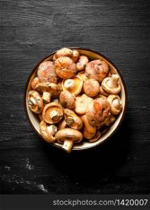 Fresh organic mushrooms in a bowl. On a black chalkboard.. Fresh organic mushrooms in a bowl.