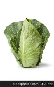 Fresh organic pointed cabbage on white background