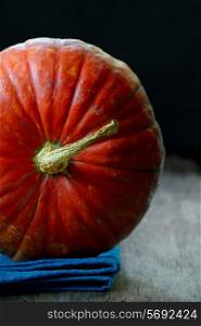 Fresh organic pumpkin with stem at an October, closeup