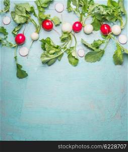 Fresh organic radishes from garden on blue wooden background, top view, border