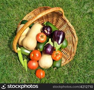fresh organic vegetables in a basket on a grass