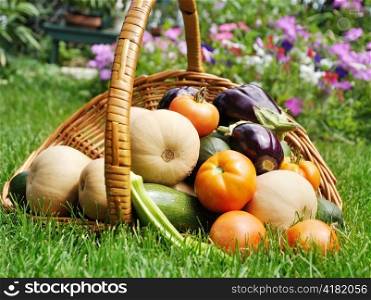 fresh organicvegetables in a basket on a grass