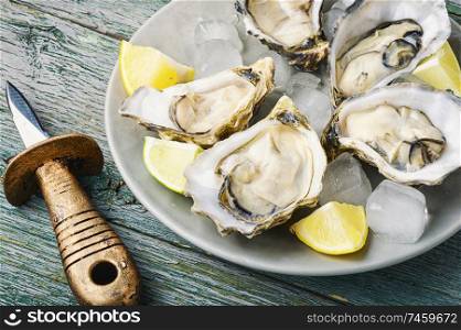 Fresh oysters in plate of ice and lemon. Opened oysters on plate