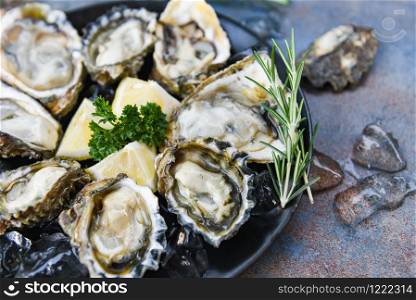 Fresh oysters seafood on a black plate background / Open oyster shell with herb spices lemon rosemary served table and ice healthy sea food raw oyster dinner in the restaurant gourmet food