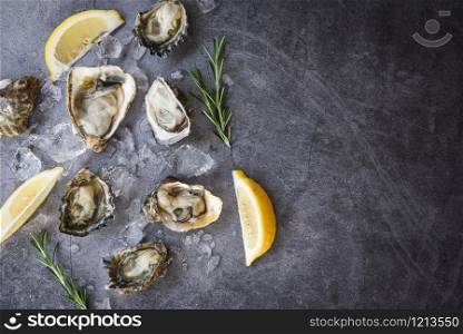 Fresh oysters seafood on black plate background / Open oyster shell with herb spices lemon rosemary served table and ice healthy sea food raw oyster dinner in the restaurant gourmet food , top view