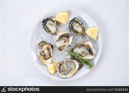 Fresh oysters seafood on white plate background / Open oyster shell with herb spices lemon rosemary served on table and ice healthy sea food raw oyster dinner in the restaurant gourmet food