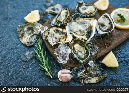 Fresh oysters seafood on wooden board plate background / Open oyster shell with herb spices lemon rosemary served table and ice healthy sea food raw oyster dinner in the restaurant gourmet food