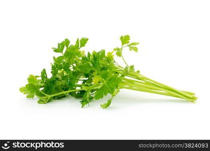 fresh parsley