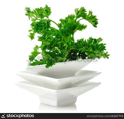 Fresh Parsley In White Dish , Close Up
