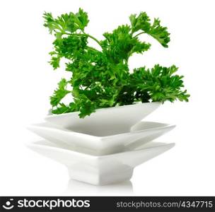 Fresh Parsley In White Dish , Close Up