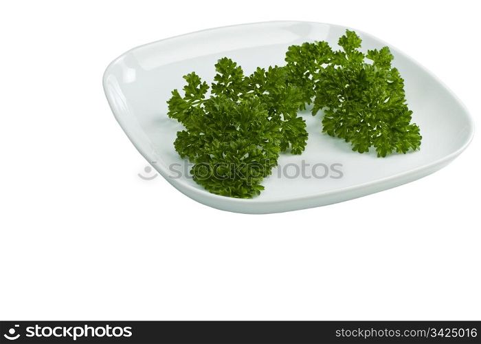 Fresh Parsley in White Plate on white background