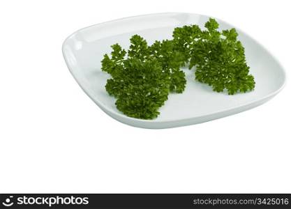 Fresh Parsley in White Plate on white background