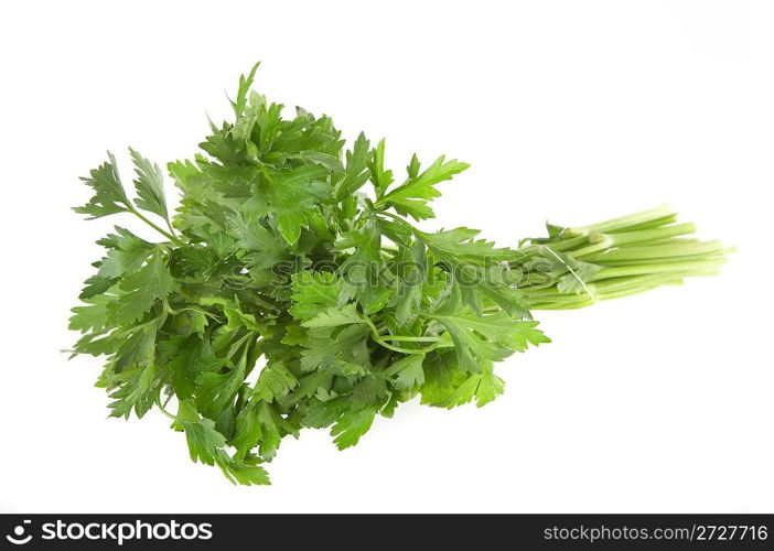Fresh parsley on a white background