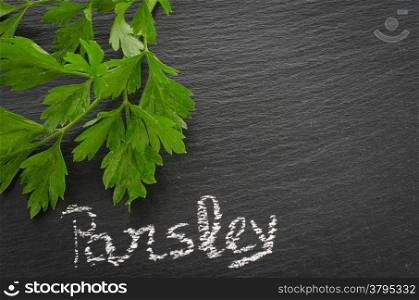 Fresh parsley sprigs on chalkboard. Twig of parsley