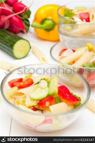 Fresh Pasta Salad With Tomatoes, Pepper, Cucumber, Radish and Lettuce