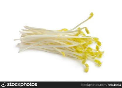 Fresh pea sprouts on white background
