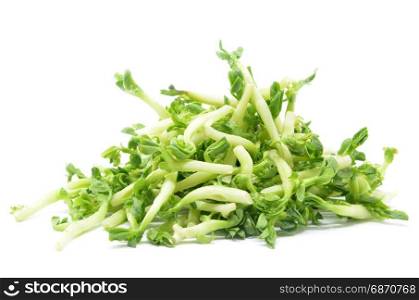 Fresh peanut sprouts isolated on white background