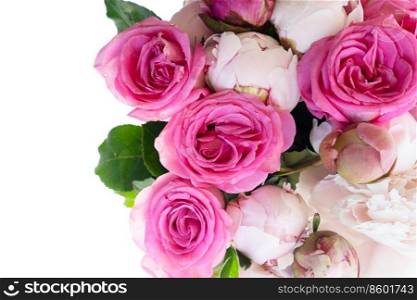 Fresh peonies and rose flowers isolated on white background. Fresh peonies flowers