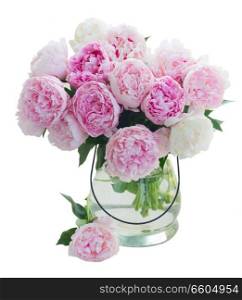 Fresh peony flowers buds colored in shades of pink in vase isolated on white background. Fresh peony flowers