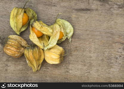 Fresh physallis berries on rustic wooden background. Macro image of fresh physallis berries