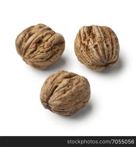 Fresh picked wet walnuts on white background