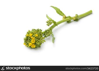 Fresh piece of broccolini on white background