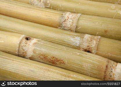 Fresh pieces of sugar cane sticks full frame