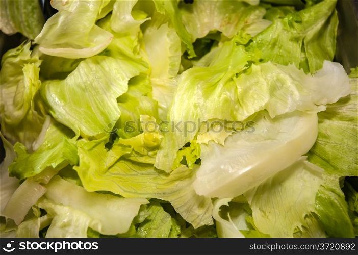 fresh pile of lettuce ready for salad