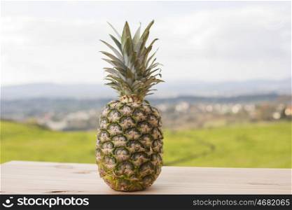 Fresh Pineapple fruit on a wooden table, outdoor