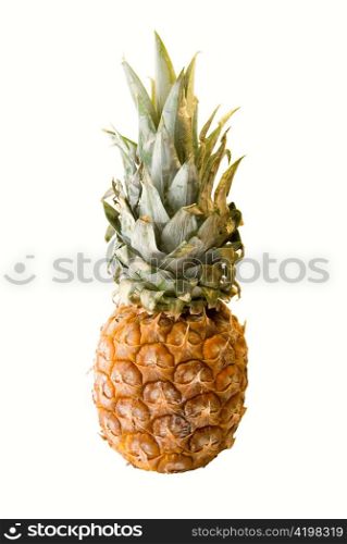 Fresh pineapple isolate on a white background