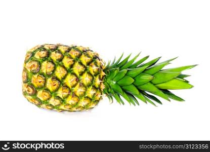 fresh pineapple isolated on the white background
