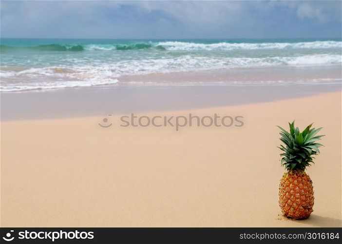 Fresh pineapple on the beach. Tropical summer delights. Free space for text.