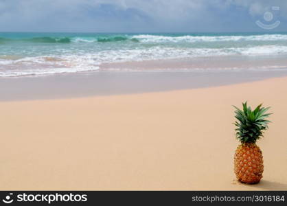 Fresh pineapple on the beach. Tropical summer delights. Free space for text.