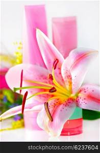 Fresh pink lily with cream