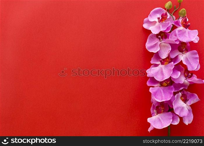 fresh pink orchid flowers arranged red backdrop