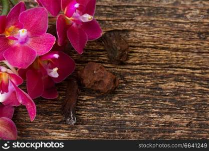 Fresh pink  orchid flowers close up on wood. Bunch of violet orchids 