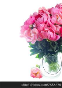 Fresh pink peony flowers bouquet close up isolated on white background. Fresh peony flowers