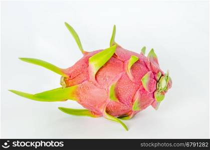 Fresh pink pitaya. Fresh pink pitaya or dragon fruit on white background