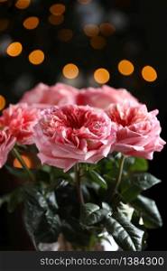 fresh pink roses on a dark background. beautiful colourful rose close up. Floral wedding or Valentine card of pink roses. selective focus.. fresh pink roses on a dark background. beautiful colourful rose close up. Floral wedding or Valentine card of pink roses. selective focus
