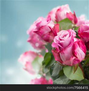fresh pink roses on blue bokeh background. bouquet of pink roses