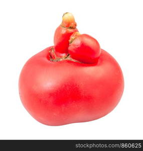 fresh pink tomato with growths isolated on white background