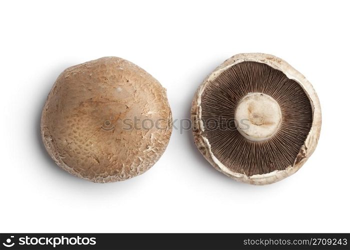 Fresh Portobello mushroom isolated on white background