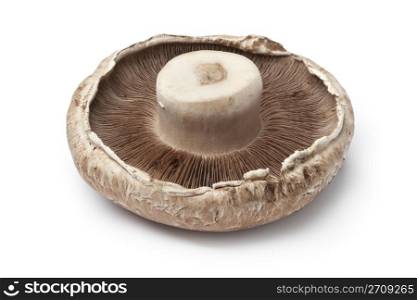 Fresh Portobello mushroom upside down isolated on white background