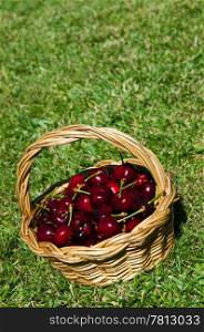 fresh portuguese cherries in a wicker basted (grass background)