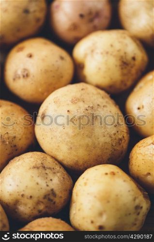 Fresh potato tubers closeup. Low-key lighting
