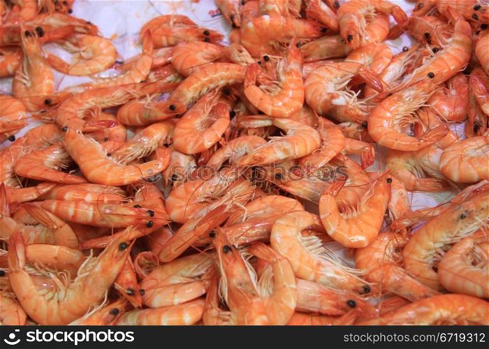Fresh prawns on a fish market in the Provence, France