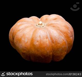Fresh pumpkin